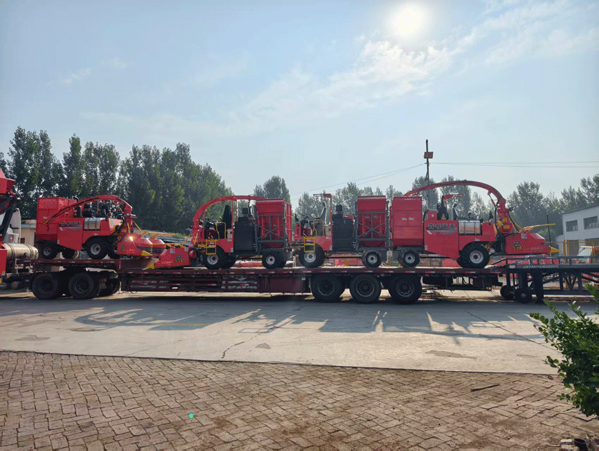 جاهز للتسليم: حصادة السيلاج Senrui 4QZ-2000C تُشحن مجمّعة بالكامل—لتعزيز الكفاءة في مزارع الماشية!